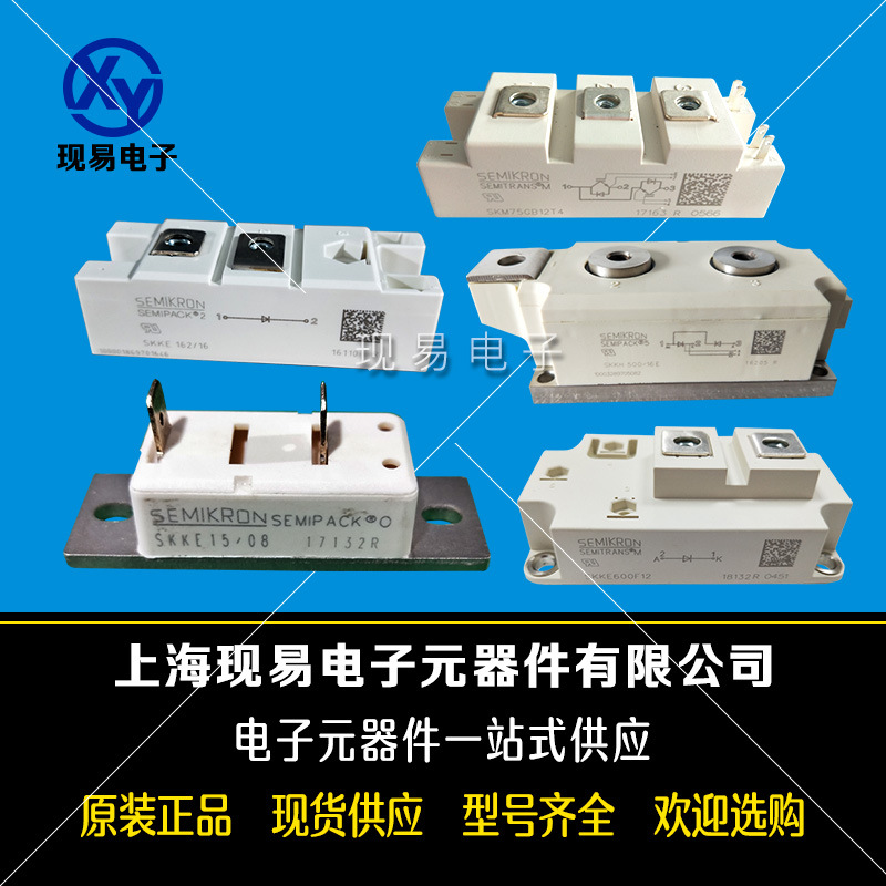 SKKQ800/12E SKKQ800/16E全新德國原裝SEMIKRON西門康可控硅模塊
