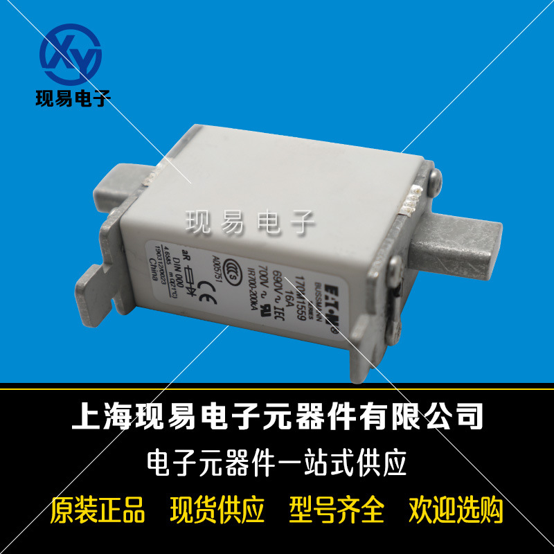170M3192 170M3193 170M3194 170M3195全新巴斯曼熔斷器原裝現(xiàn)貨