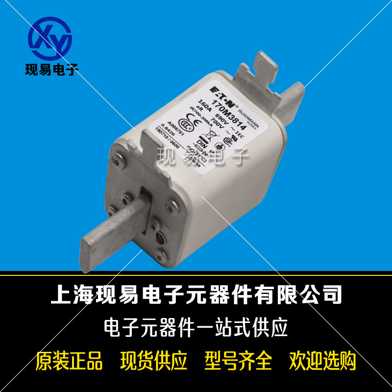 170M3988 170M3989 170M3990 170M3991全新巴斯曼熔斷器原裝現(xiàn)貨