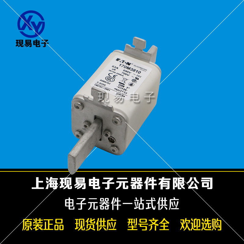 170M3196 170M3197 170M3198巴斯曼BUSSMANN快速熔斷器原裝現(xiàn)貨