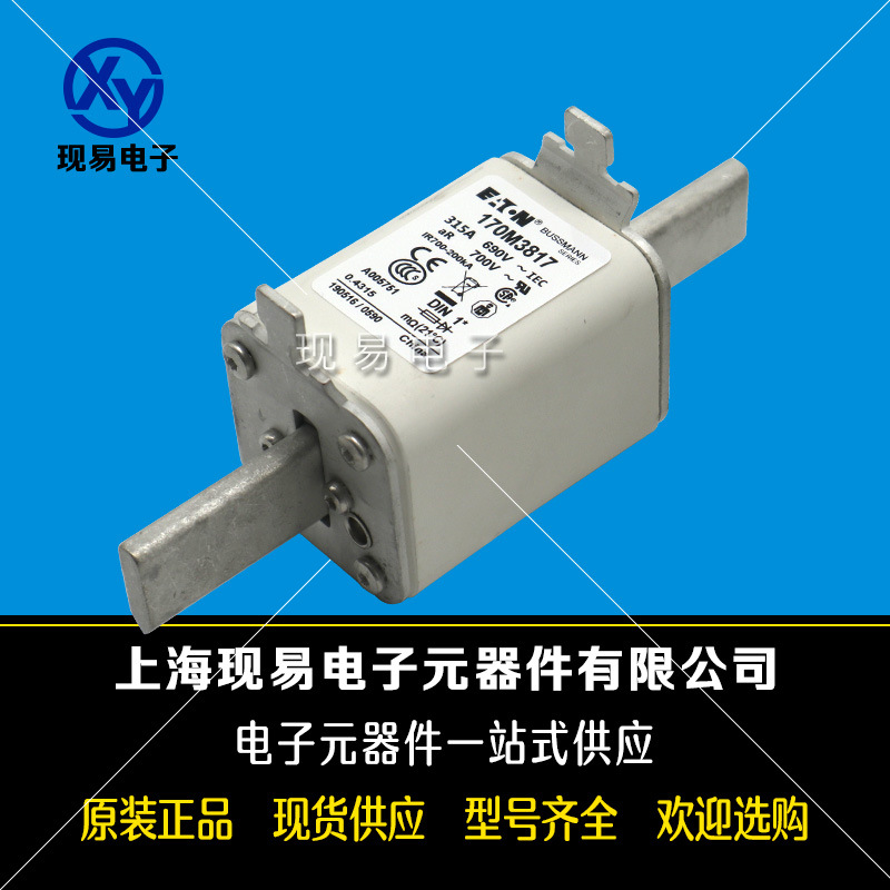 170M3984 170M3985 170M3986 170M3987全新巴斯曼熔斷器原裝現(xiàn)貨
